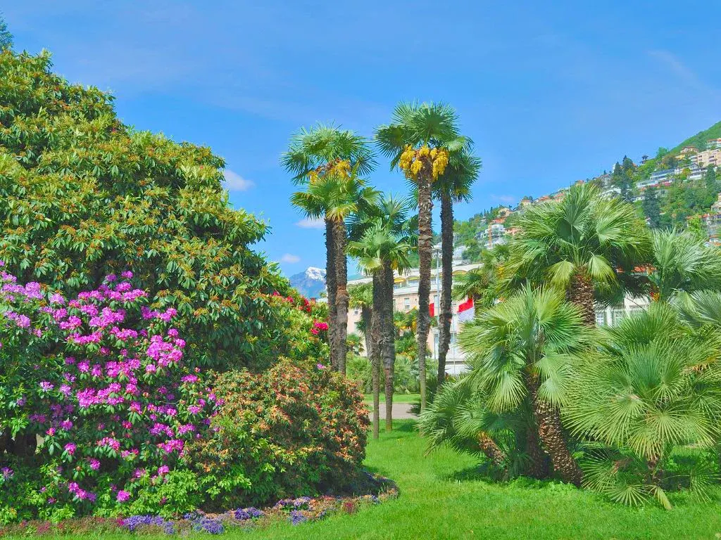 Palmen und Blüten an der Seepromenade von Locarno